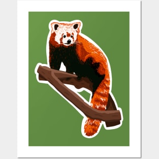 Red Panda Posters and Art